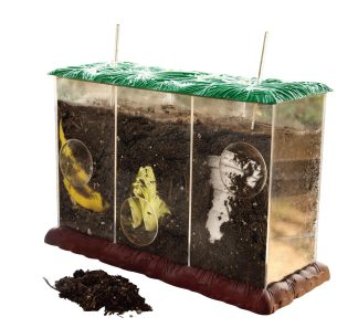 Transparent kompostbehållare