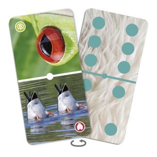Domino Närbilder på djur - spel
