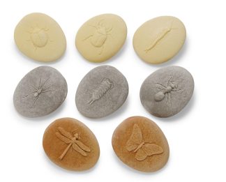 Avtryck av insekter,