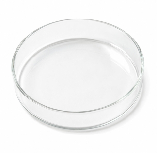 Petriskål 11 cm, Borosilikatglas