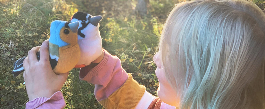 Insekter, fåglar & djur